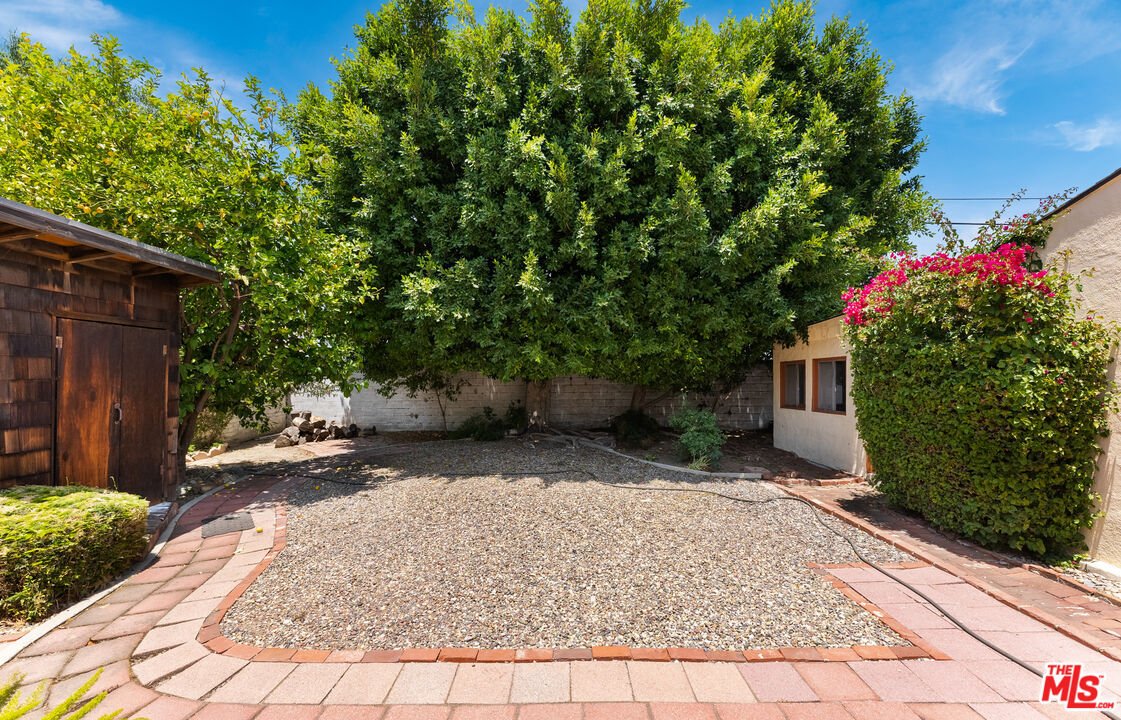 Backyard with big tree, green plants, and stone path