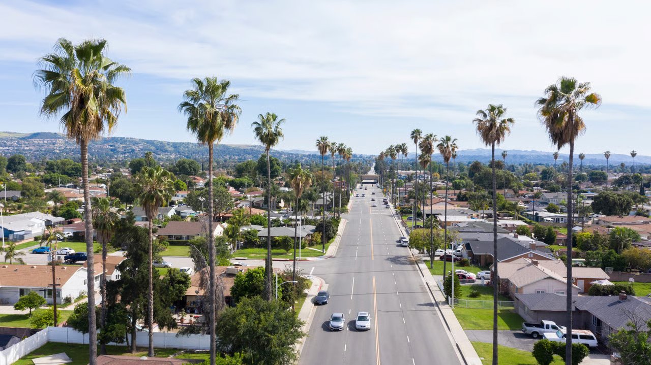 Suburban street with palm trees and houses, California real estate.