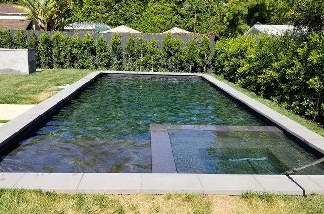 Swimming pool with dark bottom, grass, and hedges.