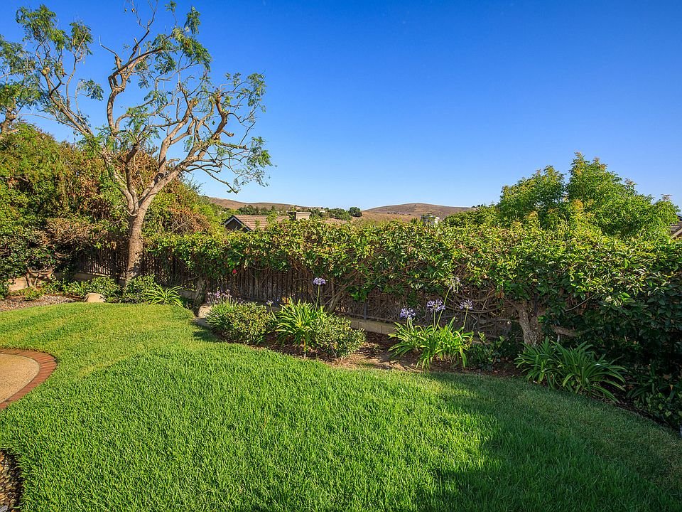Green backyard with lawn, shrubs, and trees