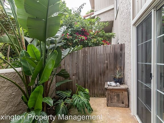 Backyard with green plants, wooden fence, and wooden storage box