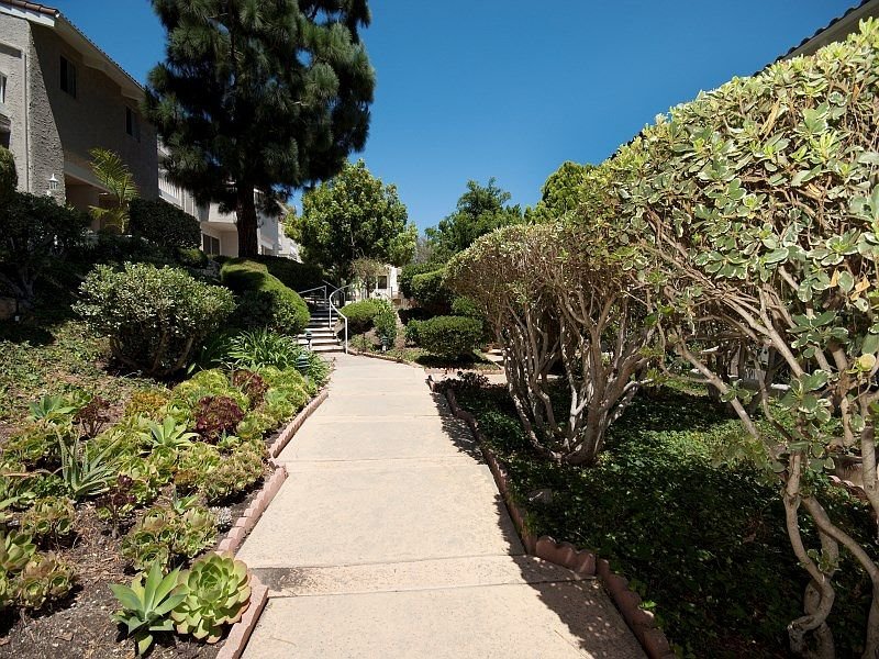 California real estate walkway with greenery, shrubs, and houses in the background