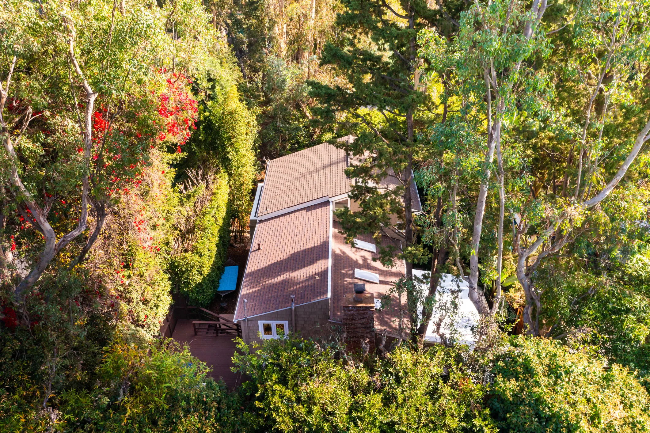 Overhead rear of house